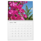 12 Monate tropische Fotografie, 1. Ausgabe Kalender (Jan 2026)