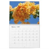 12 Monate tropische Fotografie, 2. Ausgabe Kalender (Feb 2027)