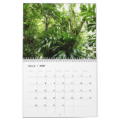 12 Monate tropische Fotografie, 3. Ausgabe Kalender (Mär 2027)