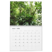 12 Monate tropische Fotografie, 3. Ausgabe Kalender (Mär 2026)