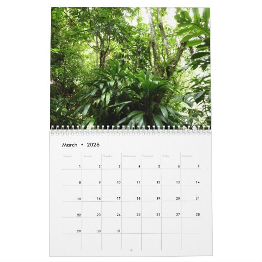 12 Monate tropische Fotografie, 3. Ausgabe Kalender (Mär 2026)