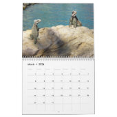 12 Monate tropische Fotografie, 4. Ausgabe Kalender (Mär 2026)