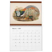 12 Monate Vögel aus Asien: Fasane 2017 Kalender (Feb 2027)