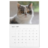 12 Monate von Catitude Kalender (Mär 2027)