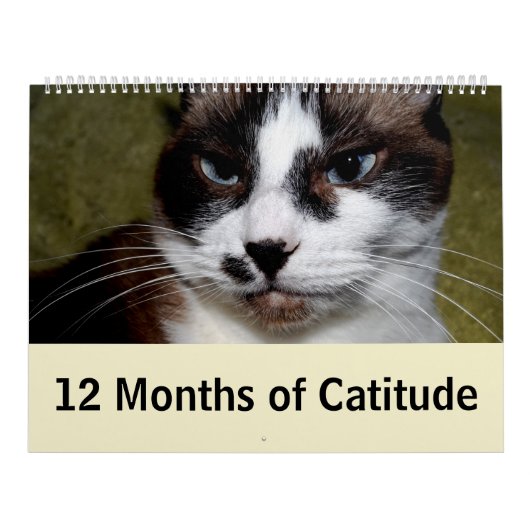 12 Monate von Catitude Kalender (Titelbild)