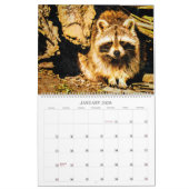 12 Monate Wasserfarbenfroh Raccoon Kunstvoll wande Kalender (Jan 2026)