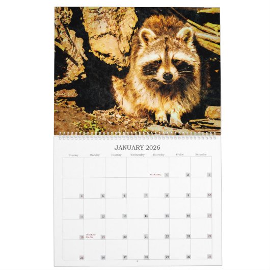 12 Monate Wasserfarbenfroh Raccoon Kunstvoll wande Kalender (Jan 2026)