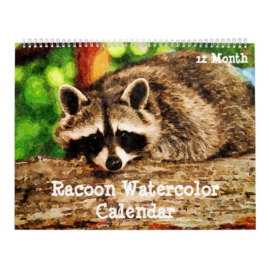 12 Monate Wasserfarbenfroh Raccoon Kunstvoll wande Kalender (Titelbild)
