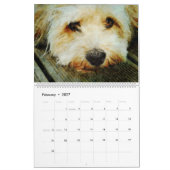12 Monate Wheaten Terrier Hunde Haustiere Wasserfa Kalender (Feb 2027)