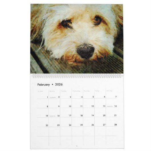 12 Monate Wheaten Terrier Hunde Haustiere Wasserfa Kalender (Feb 2026)