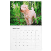 12 Monate Wheaten Terrier Hunde Haustiere Wasserfa Kalender (Mär 2027)