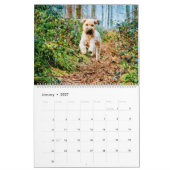 12 Monate Wheaten Terrier Hunde Haustiere Wasserfa Kalender (Jan 2027)