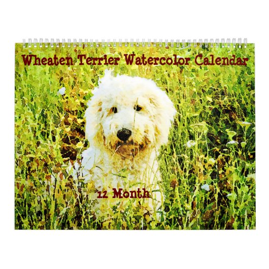 12 Monate Wheaten Terrier Hunde Haustiere Wasserfa Kalender (Titelbild)