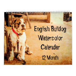 12-monatige englische Bulldogge britischer Stier Kalender