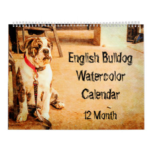 12-monatige englische Bulldogge britischer Stier Kalender