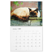 12-monatige herrliche siamesische kalender (Jan 2027)