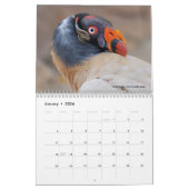 12-monatige Kalenderbilder für Tiere Kalender (Jan 2026)