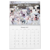 12-monatiger Boxer-Dog-Lebenskalender Kalender (Jan 2027)