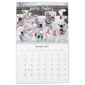 12-monatiger Boxer-Dog-Lebenskalender Kalender (Jan 2026)