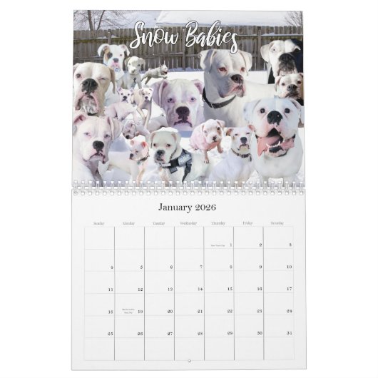 12-monatiger Boxer-Dog-Lebenskalender Kalender (Jan 2026)