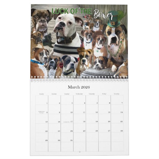 12-monatiger Boxer-Dog-Lebenskalender Kalender (Mär 2026)