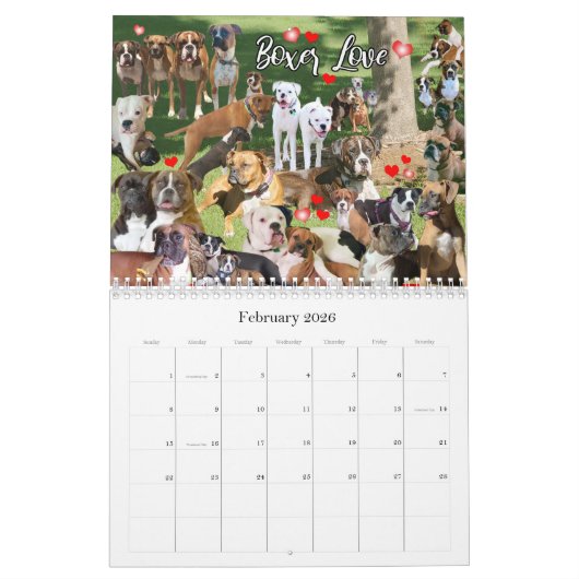 12-monatiger Boxer-Dog-Lebenskalender Kalender (Feb 2026)