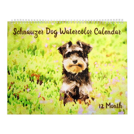 12-monatiger entzückender Schnauzer verfolgt Kalender (Titelbild)