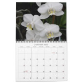 12-monatiger Kalender (Jan 2027)