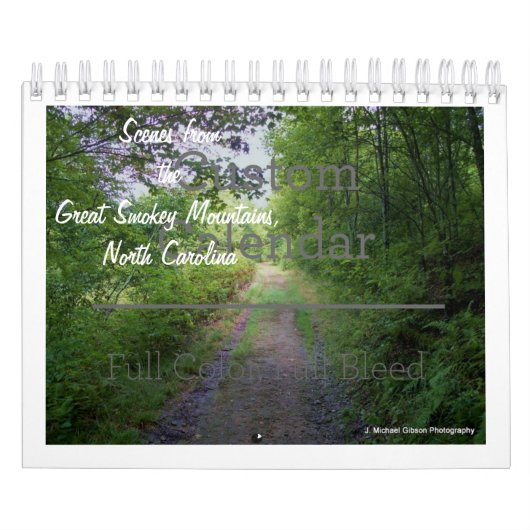 12-monatiger Kalender (Titelbild)