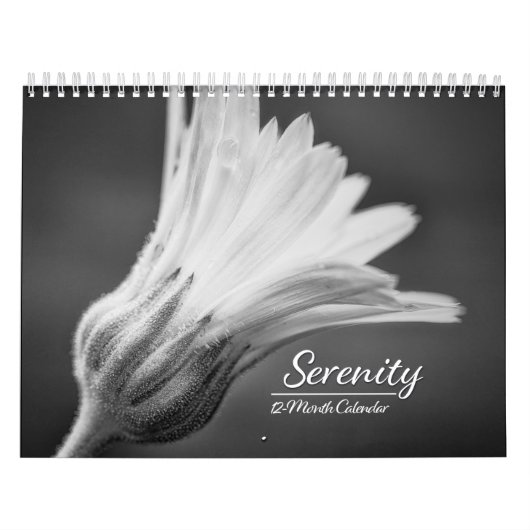 12-monatiger Kalender (Titelbild)