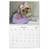 12-monatiger Kalender Cali Lutscher-2014 (Feb 2027)