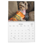 12-monatiger Kalender Cali Lutscher-2014 (Jan 2027)