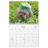 12-monatiger Kalender Cali Lutscher-2014 (Mär 2027)
