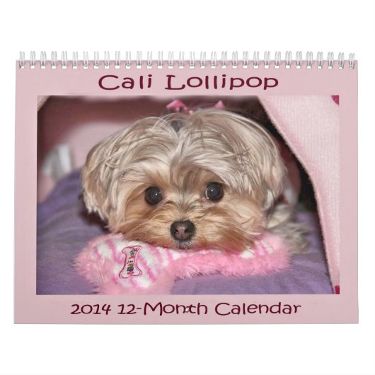 12-monatiger Kalender Cali Lutscher-2014 (Titelbild)