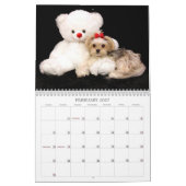 12-monatiger Kalender Cali Lutscher-2015 (Feb 2027)