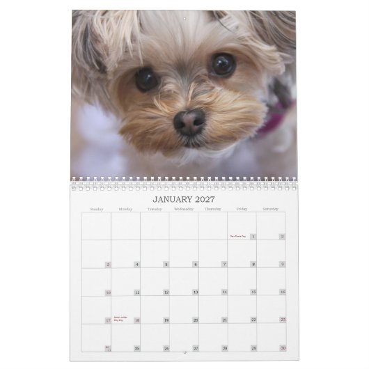 12-monatiger Kalender Cali Lutscher-2015 (Jan 2027)
