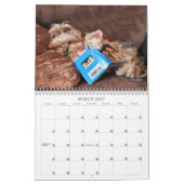 12-monatiger Kalender Cali Lutscher-2015 (Mär 2027)