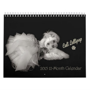 12-monatiger Kalender Cali Lutscher-2015