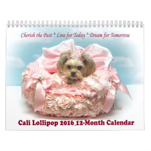 12-monatiger Kalender Cali Lutscher-2016