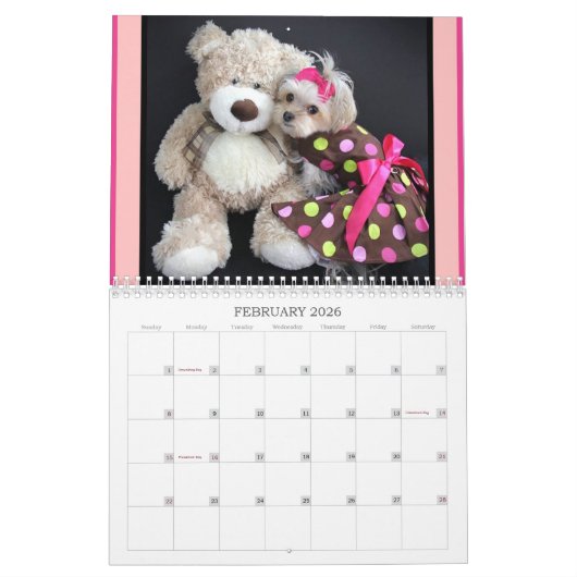 12-monatiger Kalender Cali Lutscher-2016 (Feb 2026)