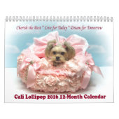 12-monatiger Kalender Cali Lutscher-2016 (Titelbild)