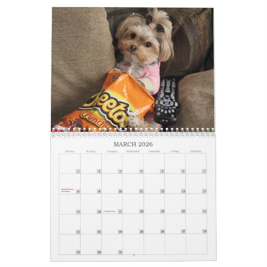 12-monatiger Kalender Cali Lutscher-2016 (Mär 2026)