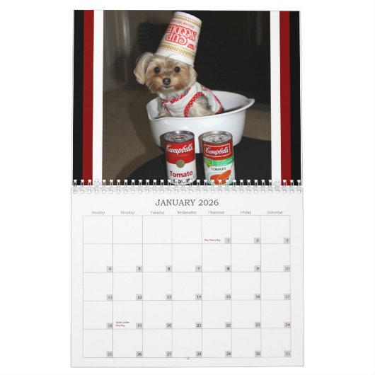 12-monatiger Kalender Cali Lutscher-2016 (Jan 2026)