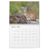 12-monatiger Kalender der Almmotte (Feb 2026)