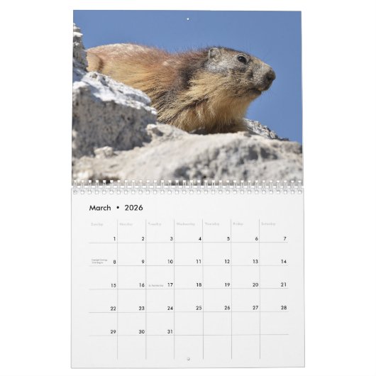 12-monatiger Kalender der Almmotte (Mär 2026)