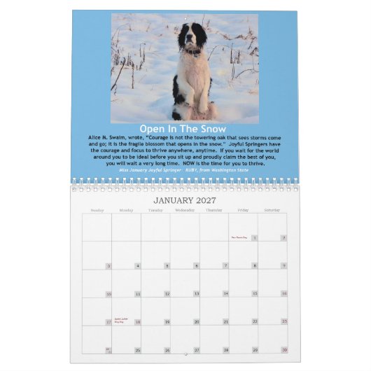 12-monatiger Kalender des frohen Springer-2013 (Jan 2027)