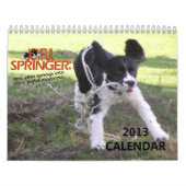 12-monatiger Kalender des frohen Springer-2013 (Titelbild)