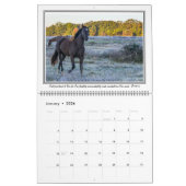 12-monatiger Pferdekalender mit den Bibel-Versen, Kalender (Jan 2026)