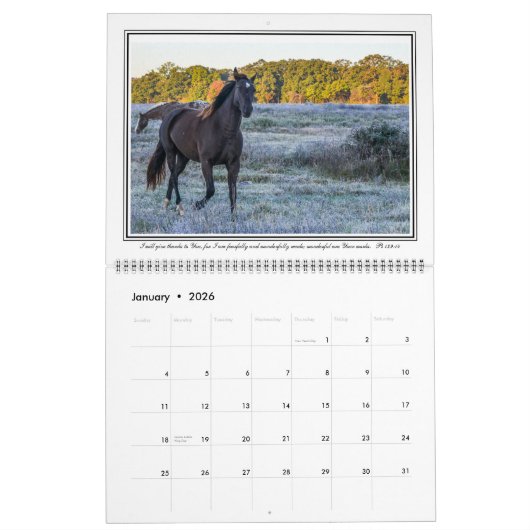 12-monatiger Pferdekalender mit den Bibel-Versen, Kalender (Jan 2026)