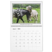 12-monatiger Pferdekalender mit den Bibel-Versen, Kalender (Mär 2026)